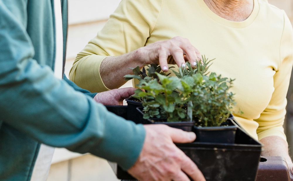 CC pexels-greta-hoffman-7728139